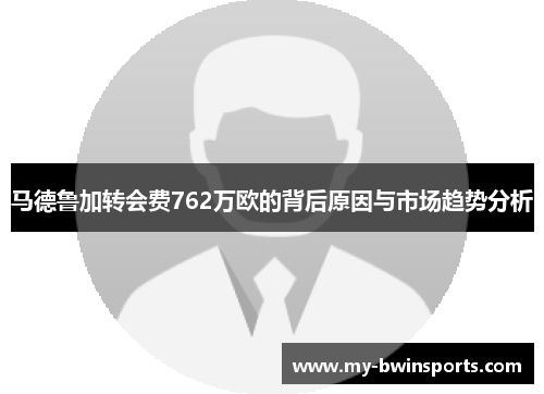 马德鲁加转会费762万欧的背后原因与市场趋势分析