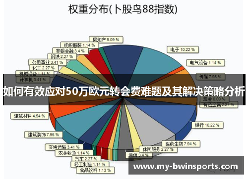 如何有效应对50万欧元转会费难题及其解决策略分析